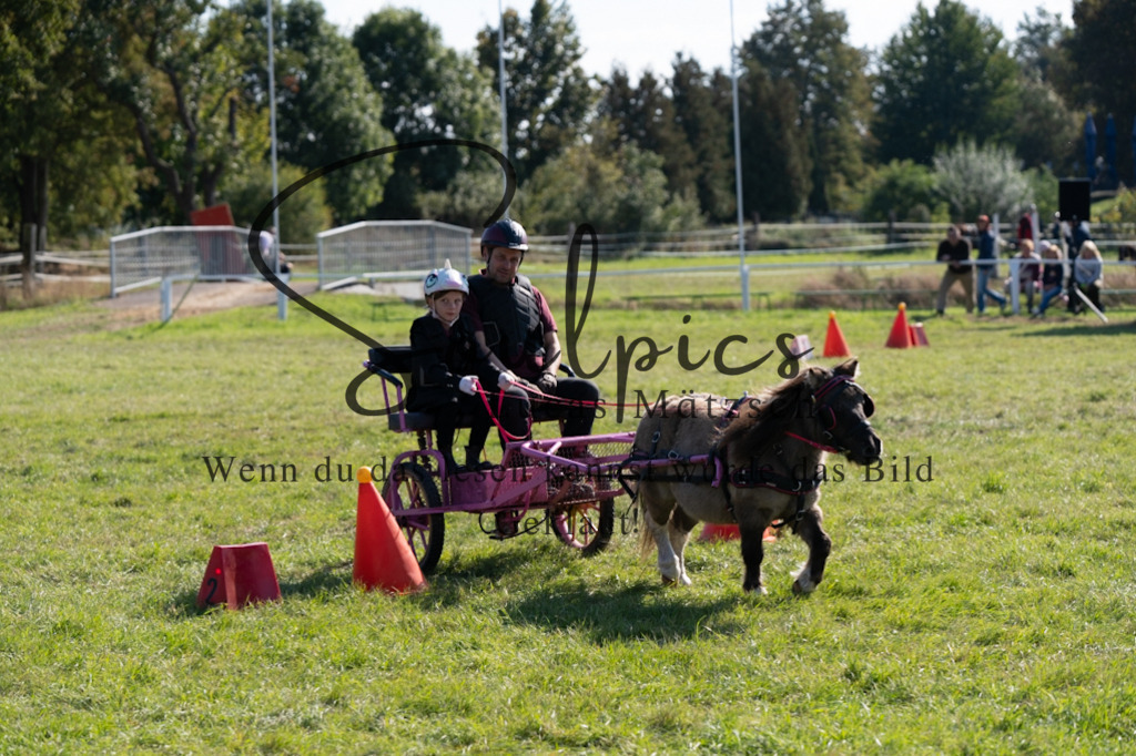 A7V04389 | Pferdefotograf