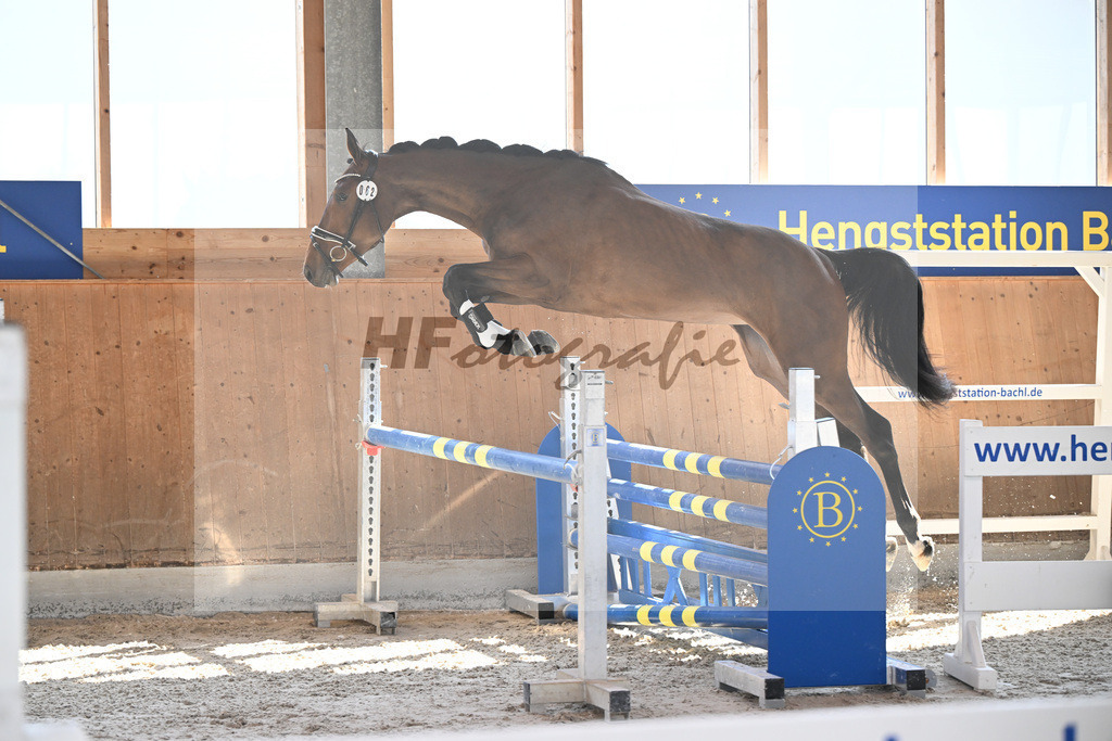 Kat-Nr. 62 Geyers La Paloma v. Carrera VDL_Geyer_14261695 | hf-fotografie - Realizzato con Pictrs.com