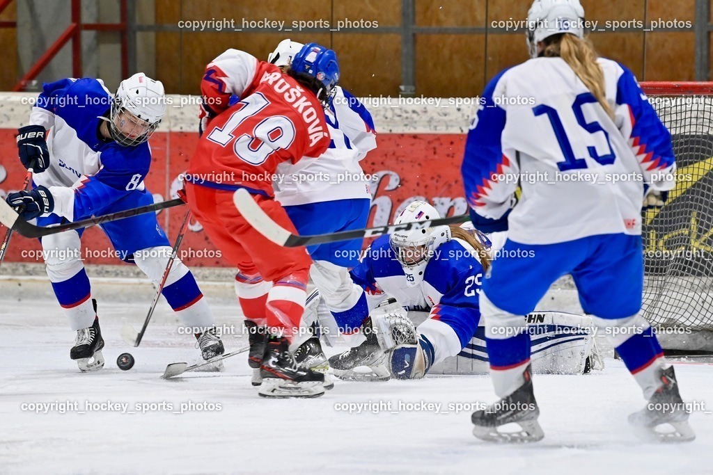 BST_5763 | hockey sports photos, Pressefotos, Sportfotos, hockey247, win 2day icehockeyleague, Handball Austria, Floorball Austria, ÖVV, Kärntner Eishockeyverband, KEHV, KFV, Kärntner Fussballverband, Österreichischer Volleyballverband, Alps Hockey League, ÖFB, 