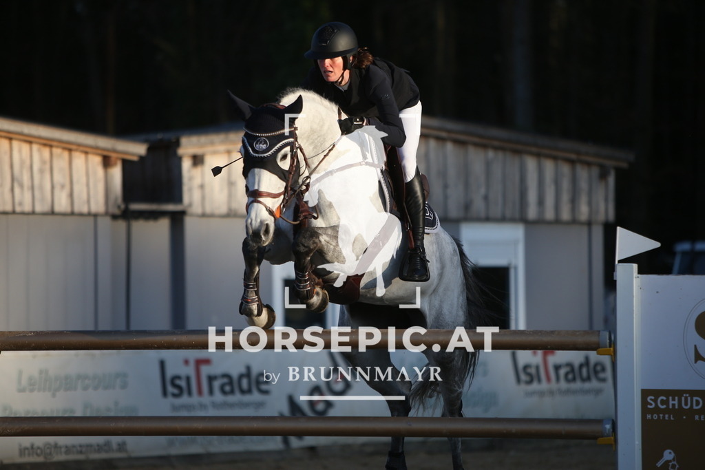 PP016535 | Willkommen bei Brunnmayr - Design & Fotografie – Ihrem Spezialisten für Reitturniere und Pferdeveranstaltungen in Oberösterreich, Salzburg und Bayern! Seit über 17 Jahren sind wir leidenschaftlich dabei.