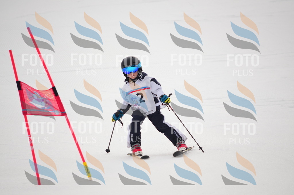 B9666 | holidayphoto