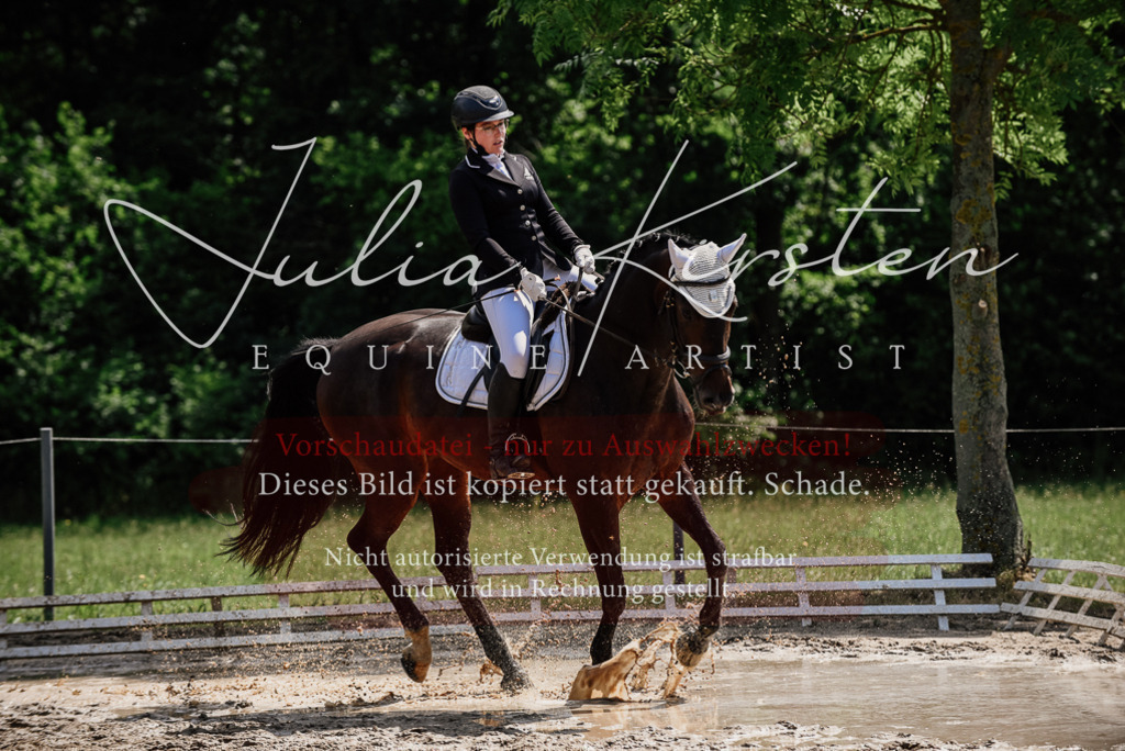 DSC_1100 | Pferde- und Turnierfotografie in Westsachsen. Pferdeportraits, Auftragszeichnungen und intuitive Kunst.