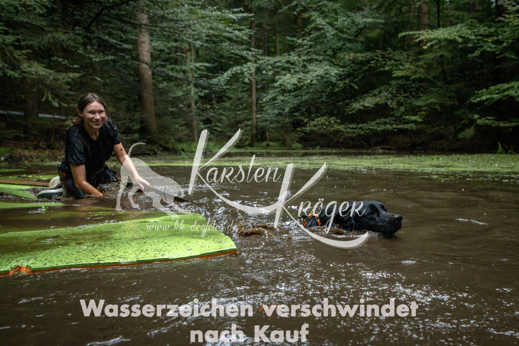 1548_ZZ92119-Bearbeitet | kk-dogfotos