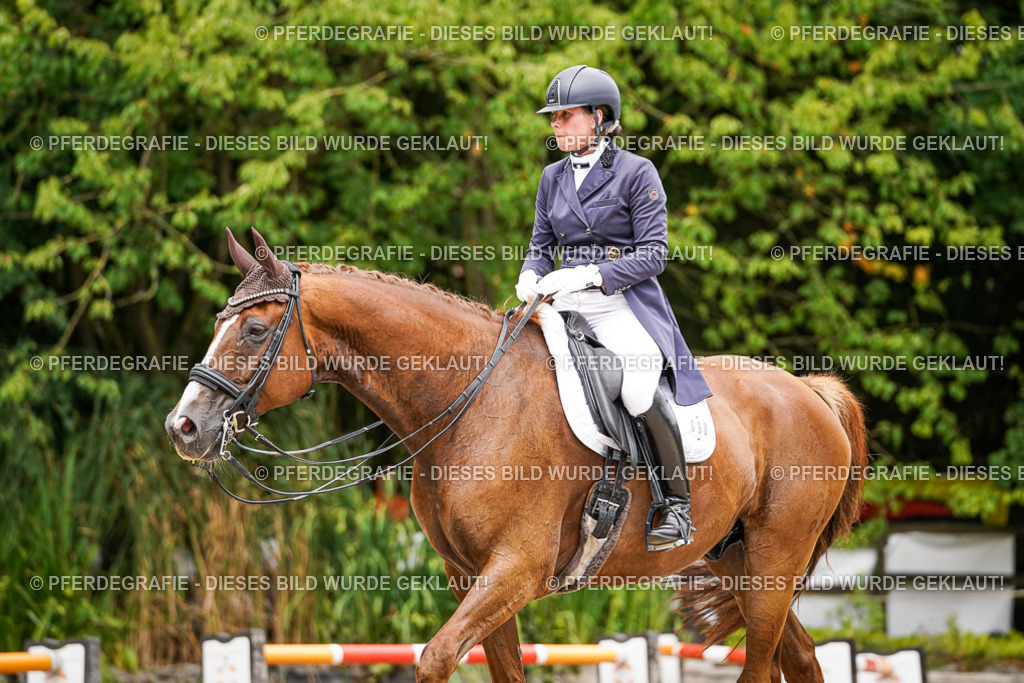 DSC04958 | Pferdegrafie