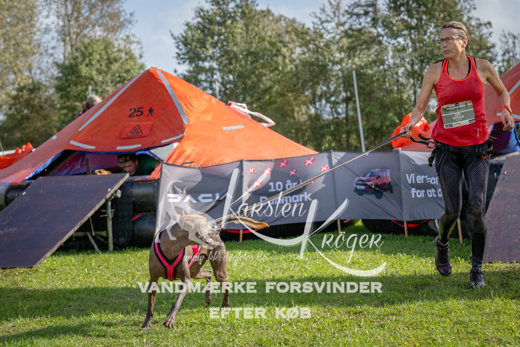 1206-92531 | kk-dogfotos