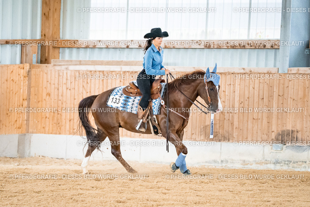 DSC00010 | Pferdegrafie