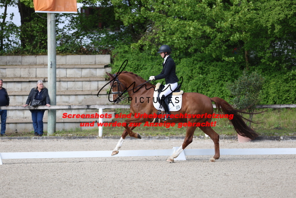 A40A3443 | lmwpictures - Realisiert mit Pictrs.com