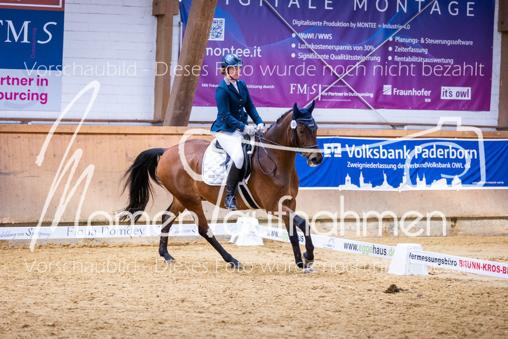 Sth-A-Dre-2St-097 | MomenTaufnahmen Pferdesportfotos