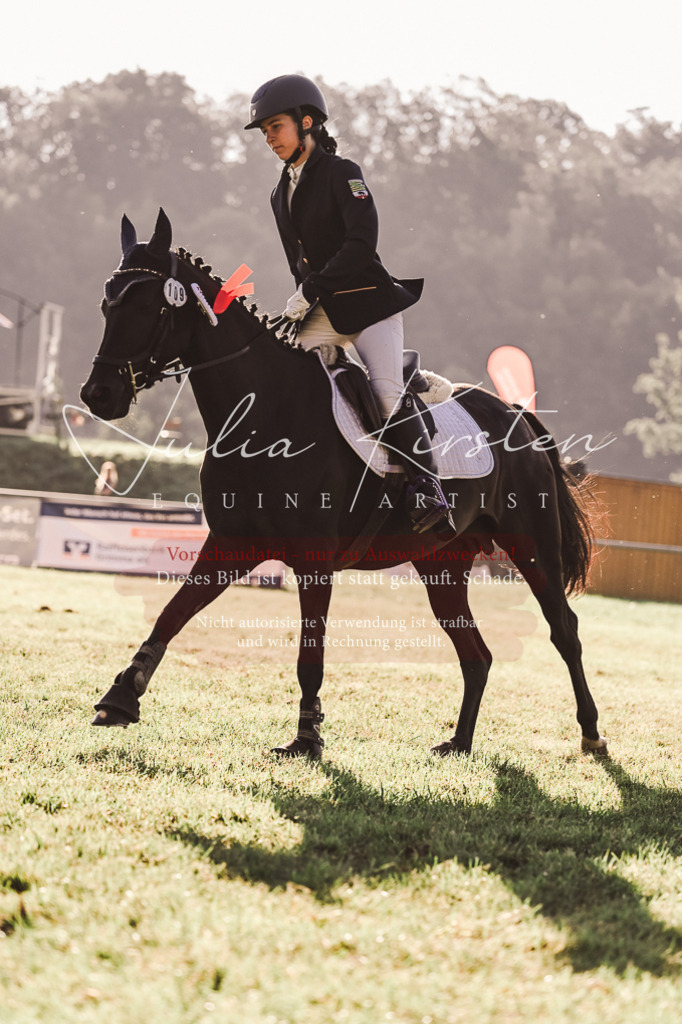 DSC_4583 | Pferde- und Turnierfotografie in Westsachsen. Pferdeportraits, Auftragszeichnungen und intuitive Kunst.