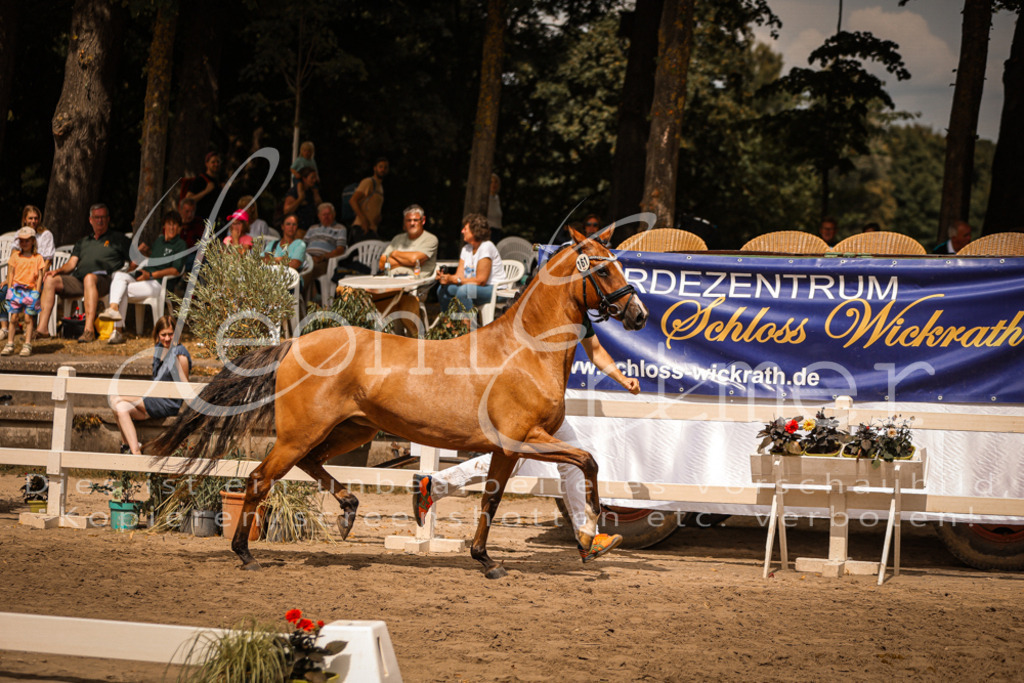 11.So00019 | Leoni Ertmer Photography - Realisiert mit Pictrs.com