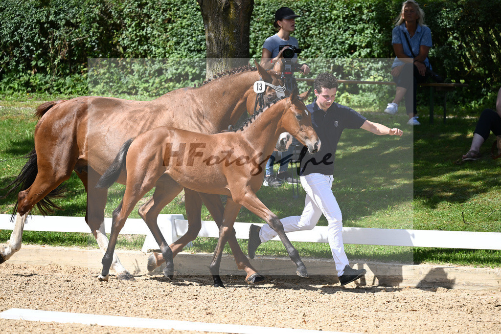 Kat-Nr. 13 SF Zenetti x Don Diamond_Schneider_27230300 | hf-fotografie - Realisiert mit Pictrs.com