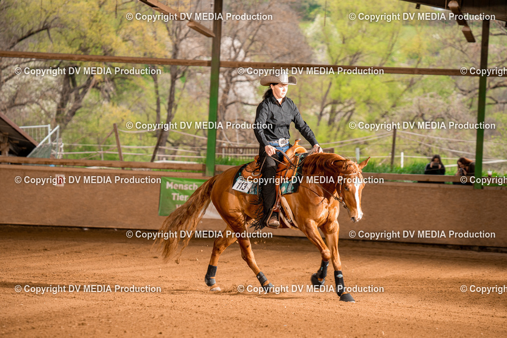 BA301217 | dv-media-shop - Realisiert mit Pictrs.com