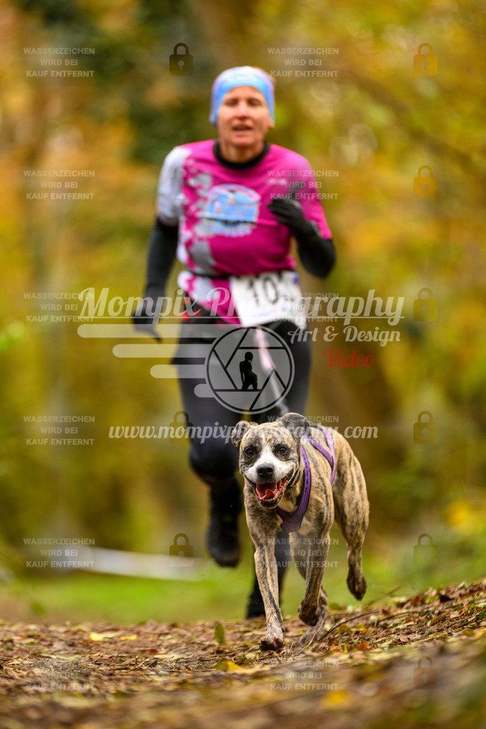 MompixPhotography_Bischwiller24_SA_Canicross-185 | PayLife