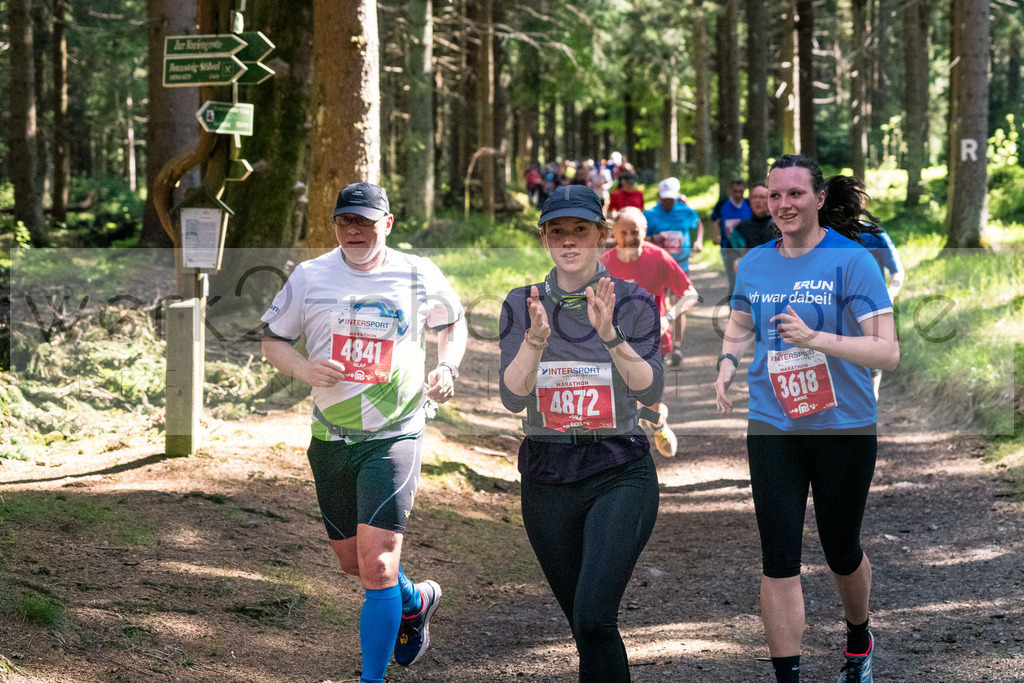 Rennsteiglauf 2019 | Marathon Neuhaus/Rwg. - Schmiedefeld am 18. Mai 2019