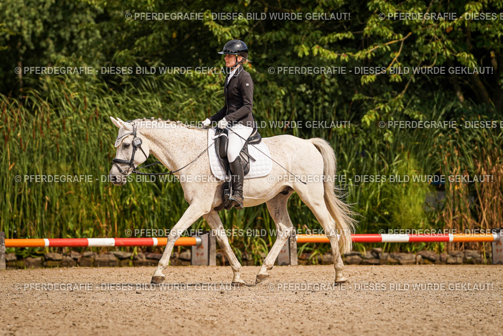 DSC01368 | Pferdegrafie