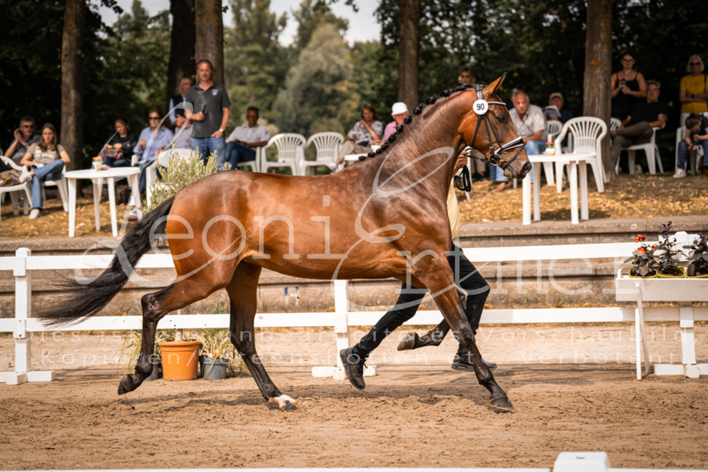 6.Fr00062 | Leoni Ertmer Photography - Realisiert mit Pictrs.com