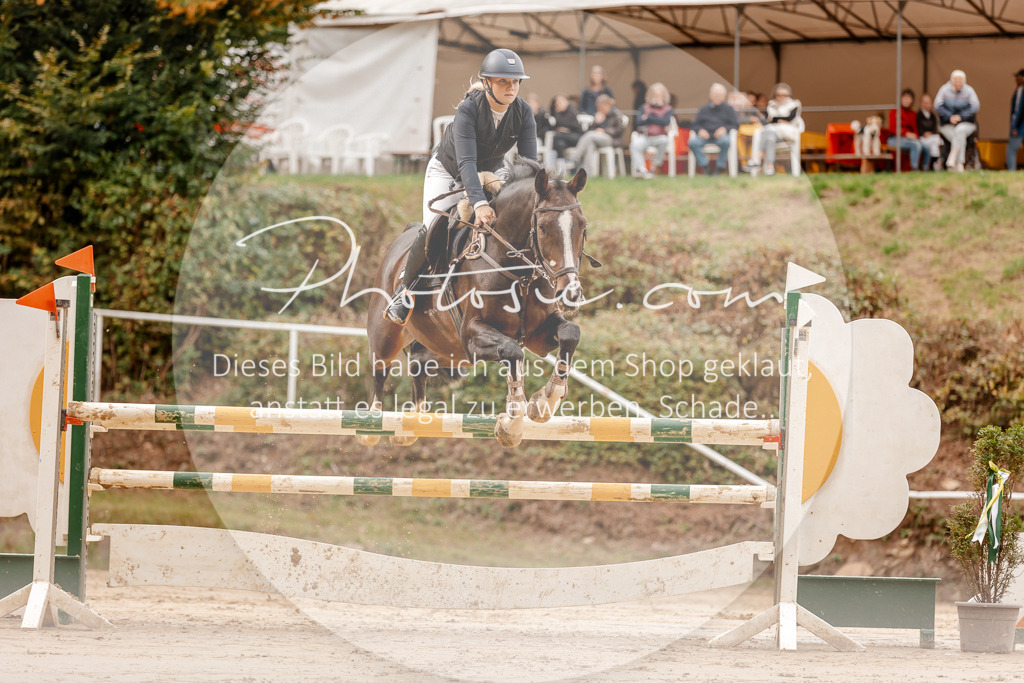 3I6A8071 | Stimmungsvolle Portraits und Reitsportfotografie im Ruhrgebiet und im Münsterland.

Pferdefotografie, Hundefotografie, Tierfotografie, Reportagen, Portraits von Tier und Mensch, Turnierfotografie in Bochum, Recklinghausen, Marl, Haltern am See, Dülmen.. - Realisiert mit Pictrs.com