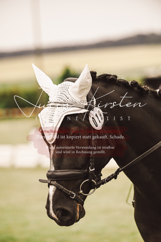 DSC_4784 | Pferde- und Turnierfotografie in Westsachsen. Pferdeportraits, Auftragszeichnungen und intuitive Kunst.