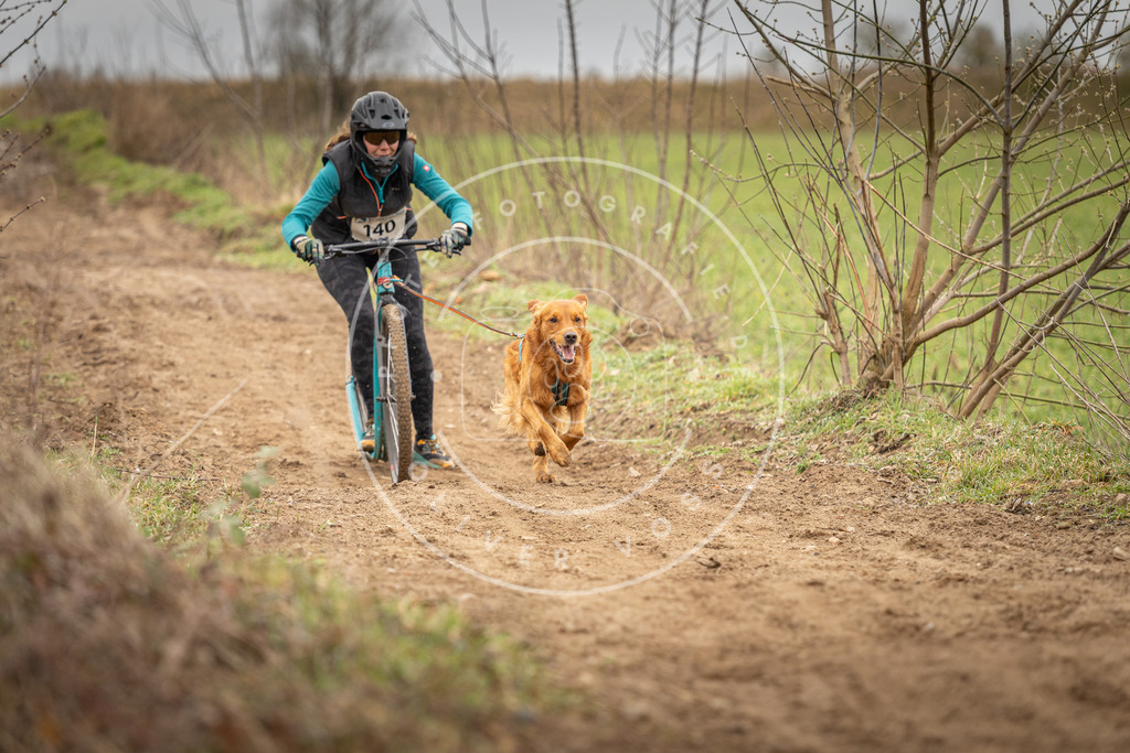 DV3A1447 | Hundefotografie, Tierfotograf, Pfotenfotografie, Fotoshooting Hund, Hunde Portrait, Hundesport, Hundeportraits, Heideshooting, Hunde, Sportfotograf, Hundefotograf, Turnierhundsport, THS,  - Realisiert mit Pictrs.com
