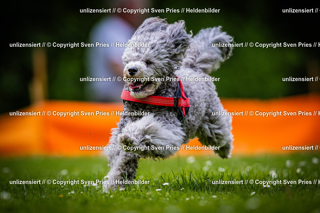 Sven Pries | 2025-05-29 - Pudelrennen KA-Durlach - Realisiert mit Pictrs.com