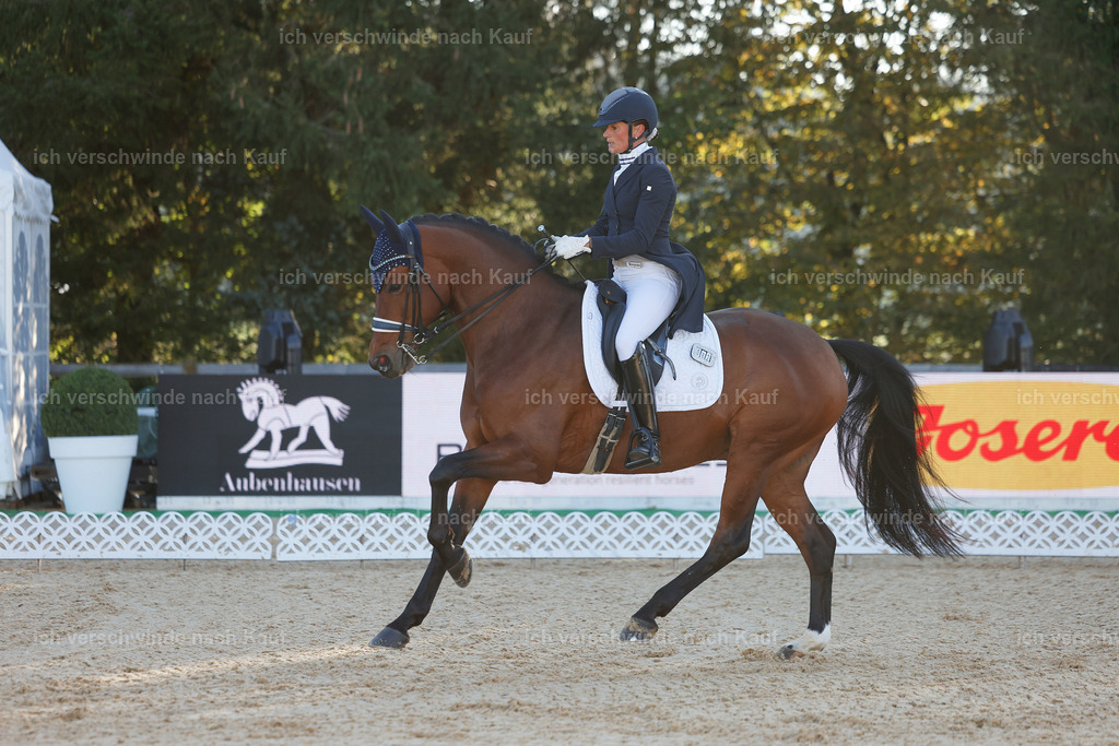 09_1-082-DRESSUR  S_  -StoibPH-5465 | working equitationturnier fotograf videograf stoibphotography marixx film working equitation deutschland reitsport turnierfotografie eventfotografie equestrian events