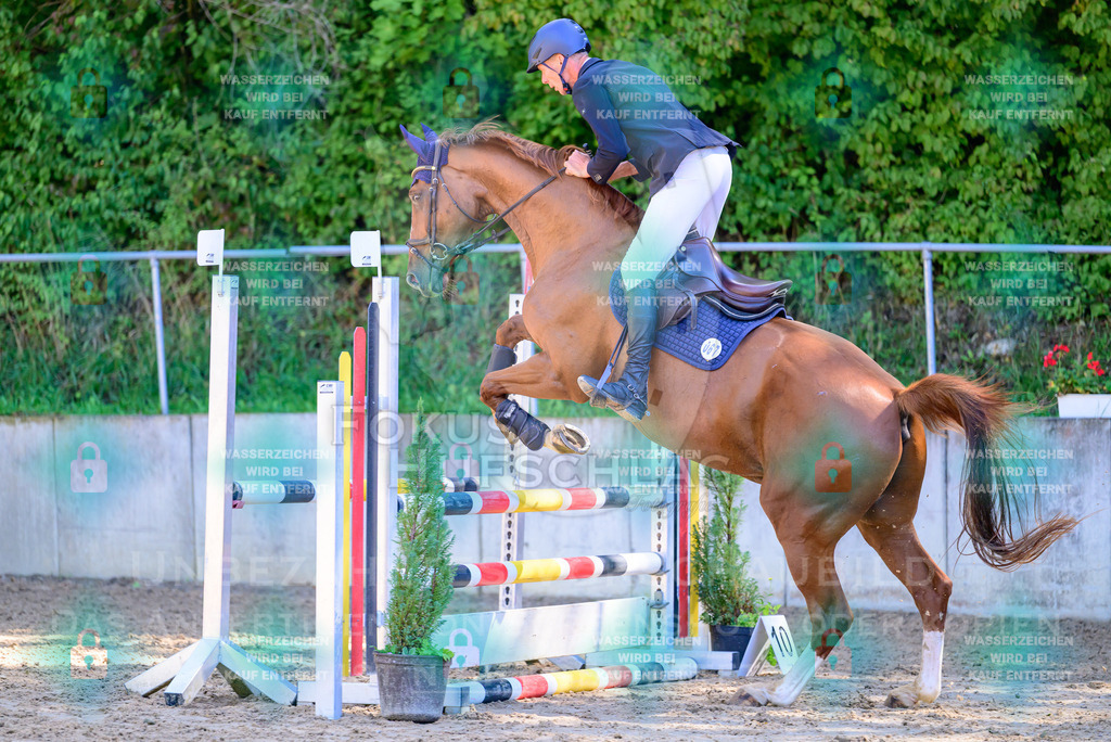 29082026-Giesenbach-Prfg10-0138 | Fokus Hufschlag Fotografie - Realisiert mit Pictrs.com