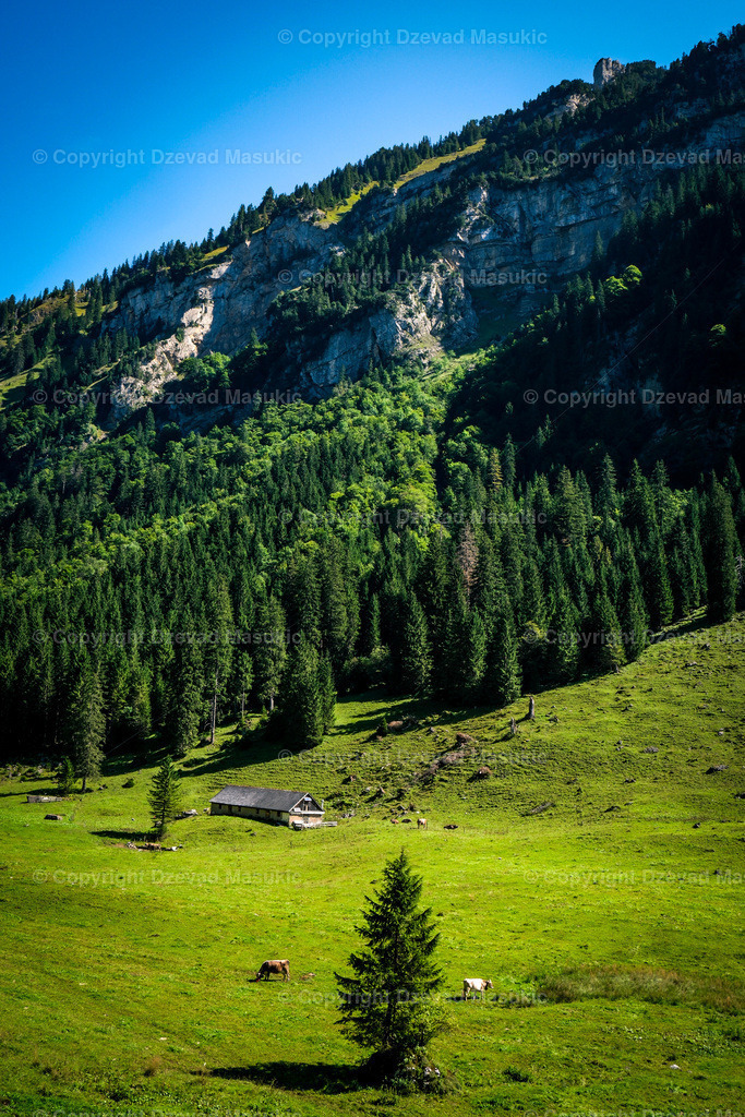 DSCF0665 | Ich fotografiere Landschaften, Produkte und erstelle für Sie Firmenportraits. Engagieren Sie mich für den nächsten Projekt. - Realisiert mit Pictrs.com