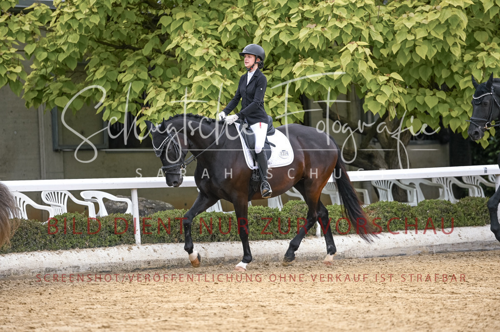 Schugtsche-Aluta25-44.DresssurreiterWB-65 | Schugtsche Fotografie - Realisiert mit Pictrs.com