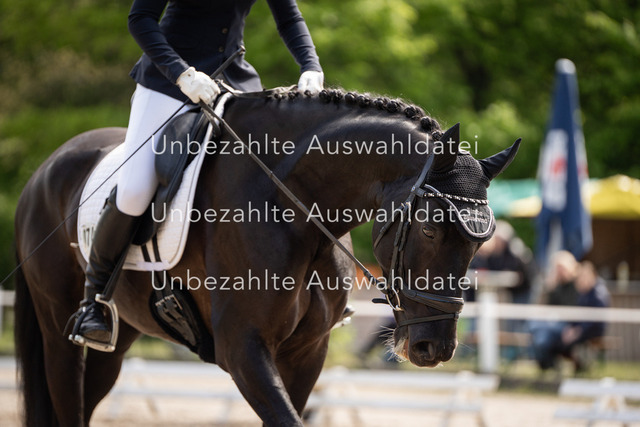 Bad_Meinberg_08380 | saradresslerfotografie - Realisiert mit Pictrs.com