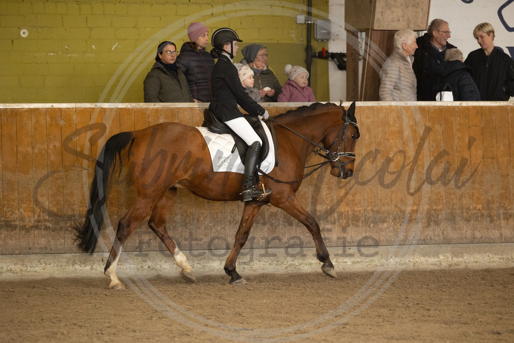 994A8445 | sabrinanicolaifotografie - Realisiert mit Pictrs.com