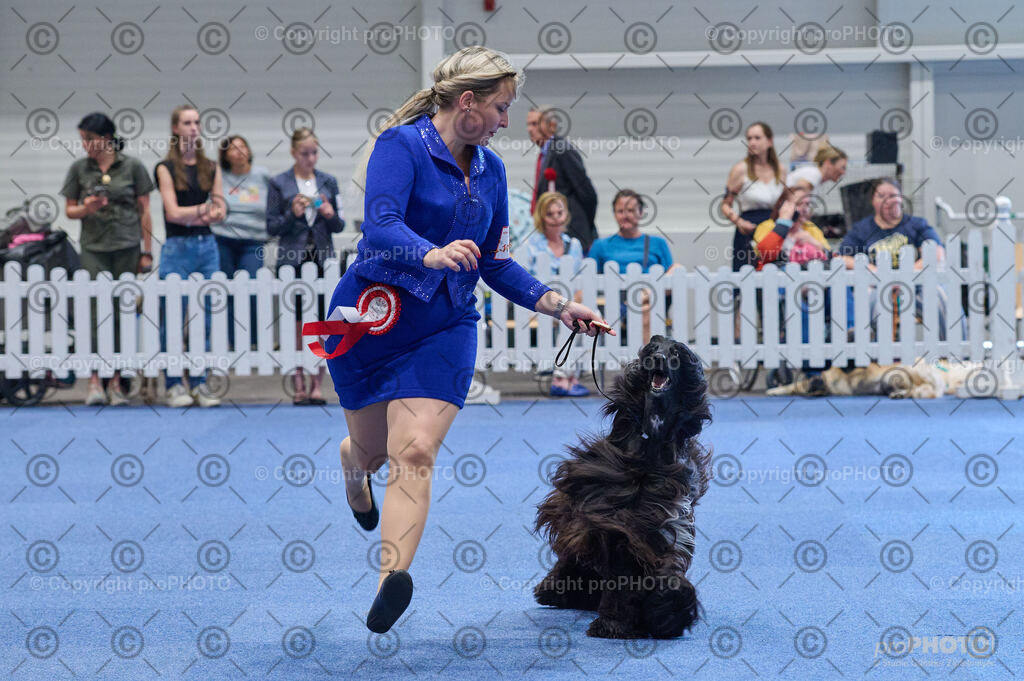 202406_ÖKV-IHA-Tulln24_DSC_5198 | proPHOTO - Realisiert mit Pictrs.com