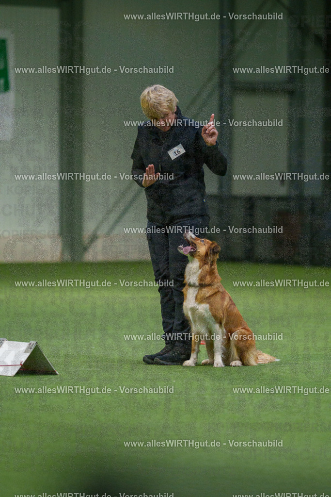 7R505485 | Professionelle Tierfotografie in Mönchengladbach von Daniel Wirth (allesWIRTHgut). Liebevolle & natürliche Bilder von Hunden & Katzen für unvergessliche Erinnerungen.
