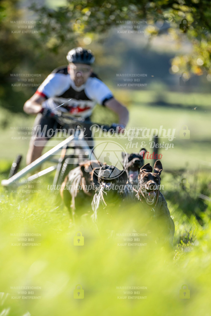 MompixPhotography_20TSB_E3_Kart-4 | PayLife