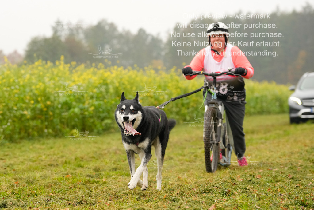 Visbeck_Sa_Scooter_Hc-129 | stephaniefillaphotographie - Realisiert mit Pictrs.com