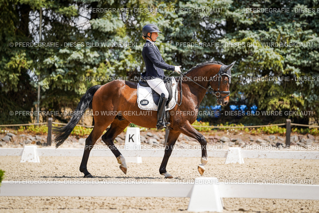 DSC01347 | Pferdegrafie