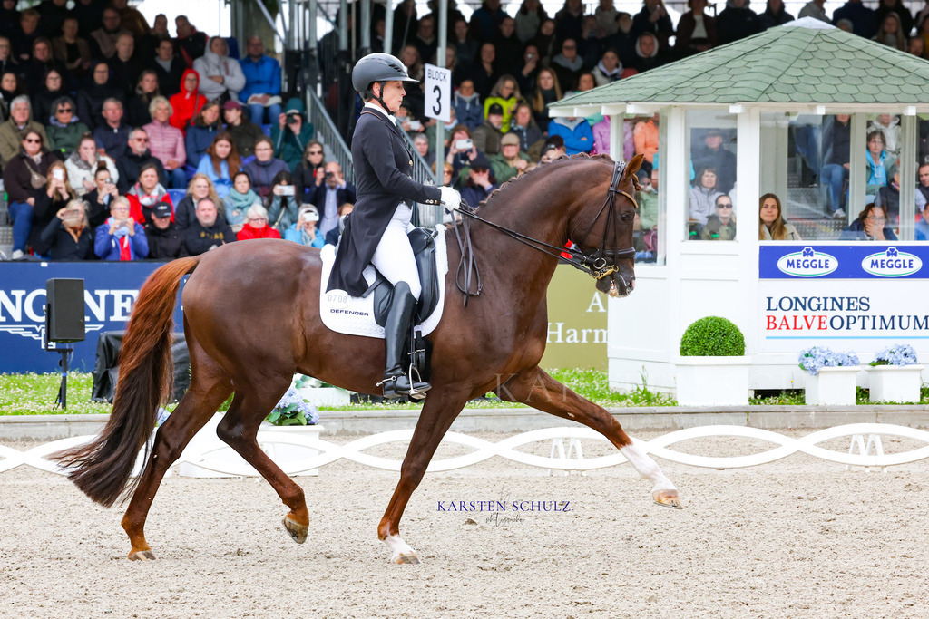 1B3A8295 | Reitsport Reiten