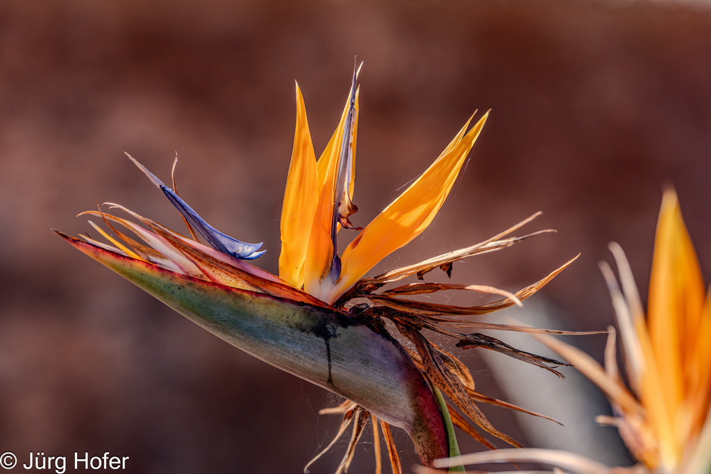 A9303102-HDR | Hofer-Images - Realisiert mit Pictrs.com