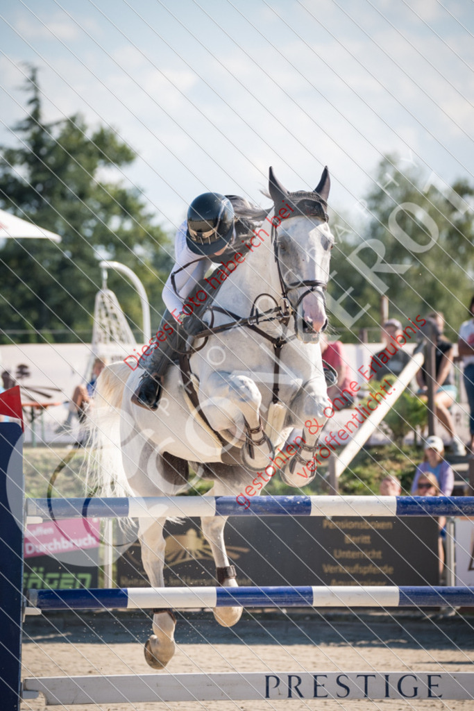 DSC_3930 | Sport-, Event- und Tierfotos in Profiqualität. Einfach auswählen, bestellen und herunterladen. Dein Moment – perfekt festgehalten.