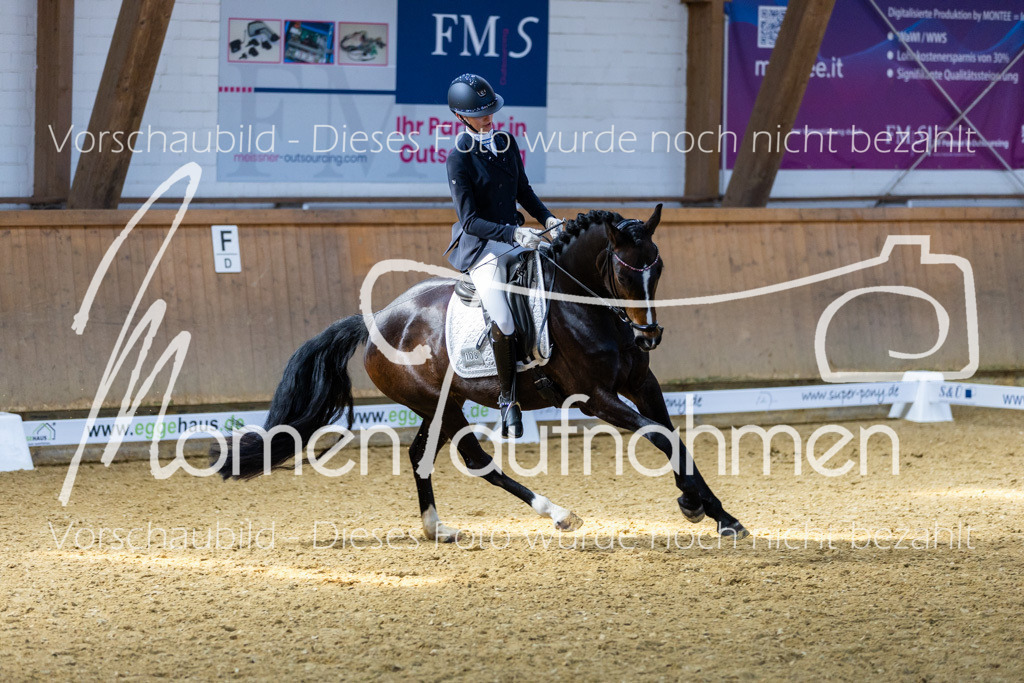 Sth-LPO25-DrR-L-292 | MomenTaufnahmen Pferdesportfotos