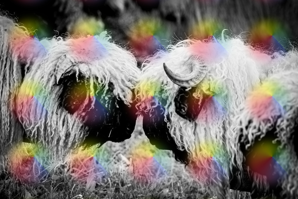 148A2206 | FineArtPrint, Hahnemühle, FeeGalerie, Fee Galerie, Fotokunst, Fotografie, Canonphotography, Bergfoto, Matterhorn, Rimpfischhorn, Allalinhorn, Saas-Fee, Wallis, Valais, Switzerland, Bergfotografie