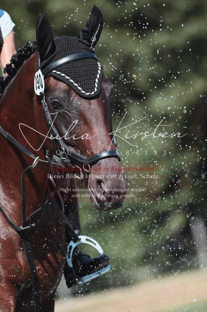 DSC_8528 | Pferde- und Turnierfotografie in Westsachsen. Pferdeportraits, Auftragszeichnungen und intuitive Kunst.