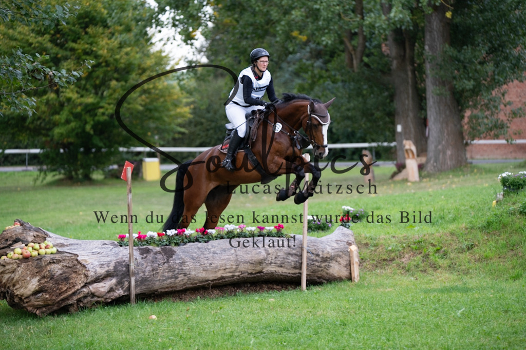 A7V02911 | Pferdefotograf