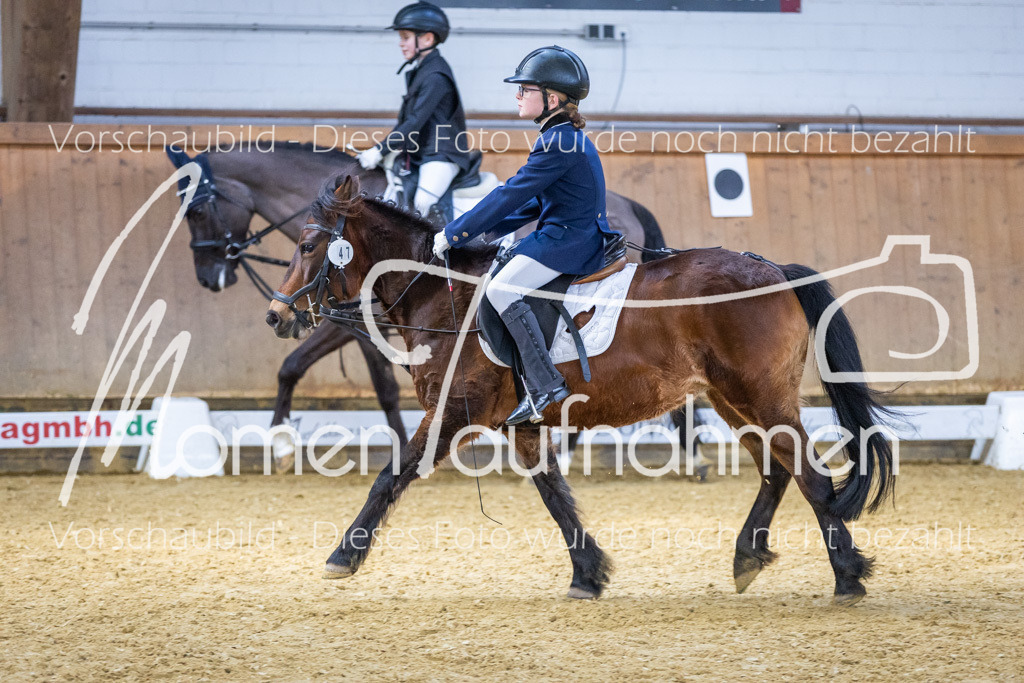 _M2A1998 | MomenTaufnahmen Pferdesportfotos