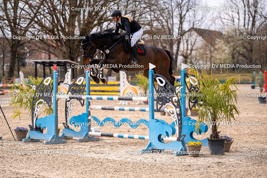 Kranichstein Tag 2-2333 | dv-media-shop - Realisiert mit Pictrs.com