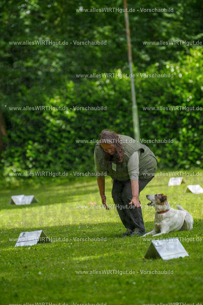 @allesWIRTHgut_Tierfotografie - www.allesWIRTHgut.de - 7R504321 | Professionelle Tierfotografie in Mönchengladbach von Daniel Wirth (allesWIRTHgut). Liebevolle & natürliche Bilder von Hunden & Katzen für unvergessliche Erinnerungen.