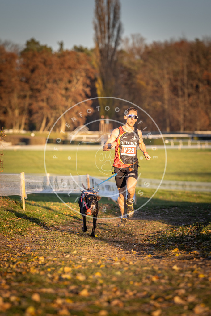 CaniXpix_DV3A5085 | Hundefotografie, Tierfotograf, Pfotenfotografie, Fotoshooting Hund, Hunde Portrait, Hundesport, Hundeportraits, Heideshooting, Hunde, Sportfotograf, Hundefotograf, Turnierhundsport, THS,  - Realisiert mit Pictrs.com