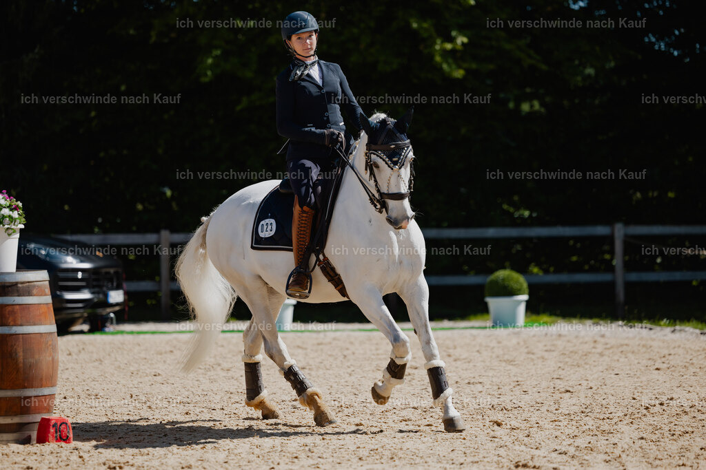 Steffi23_FHC2025-32 | working equitationturnier fotograf videograf stoibphotography marixx film working equitation deutschland reitsport turnierfotografie eventfotografie equestrian events
