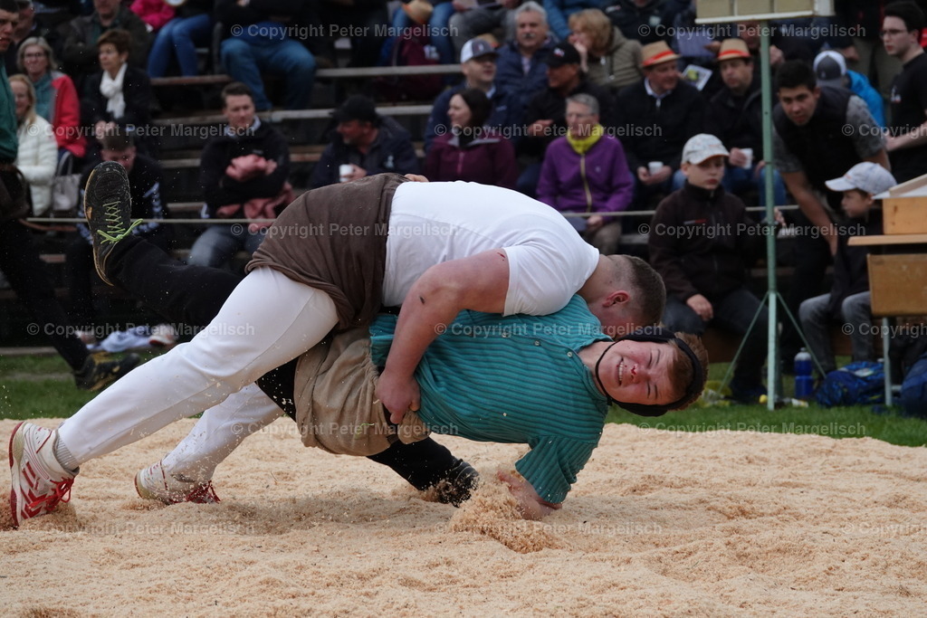 DSC03205 | Schwingen - Realisiert mit Pictrs.com
