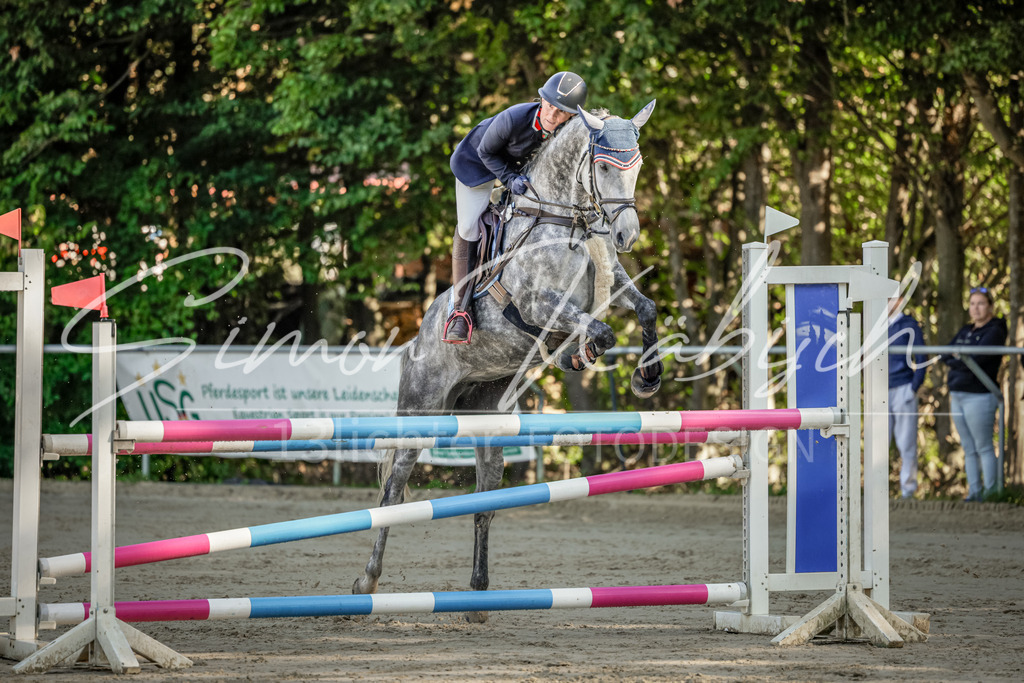 20250906-_3LI3055 | Tierfotografie Pferde, Hunde, Katzen, Haustiere.
Turnierfotografie Reitturniere, Reiten, Springreiten, Dressur in Hanau, dem Main-Kinzig-Kreis und dem Rhein-Main- Gebiet um Frankfurt