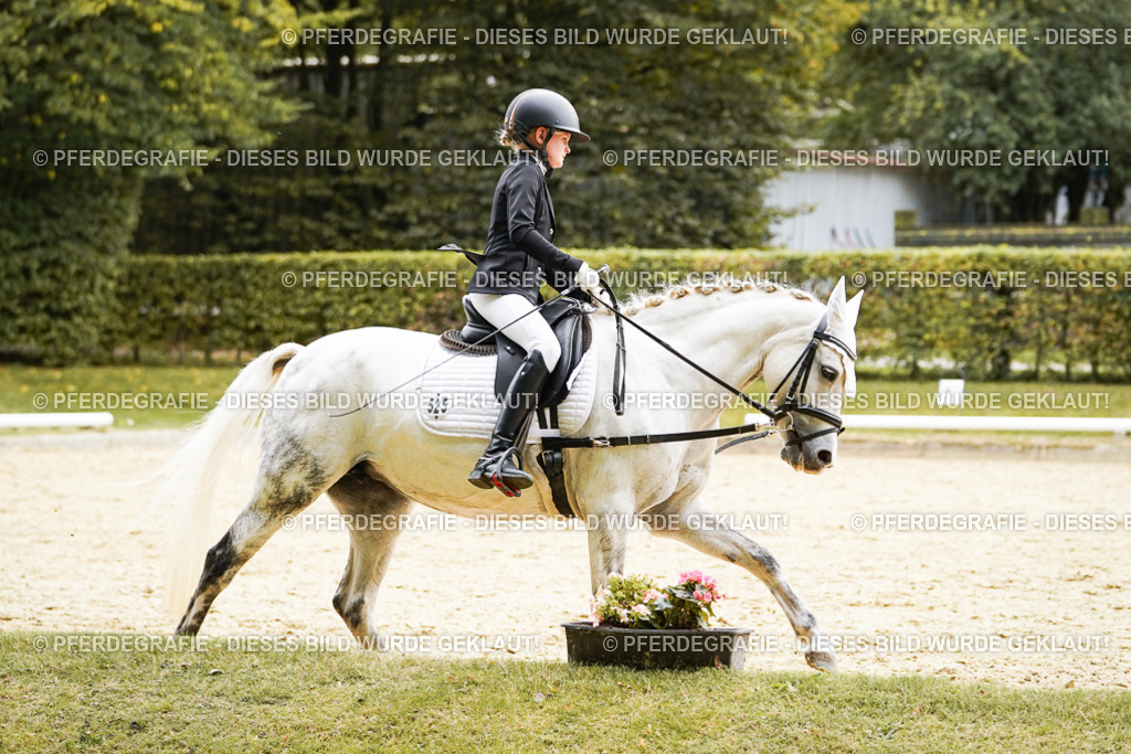 DSC09650 | Pferdegrafie